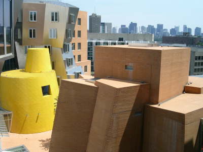 The Frank Gehry Building at MIT