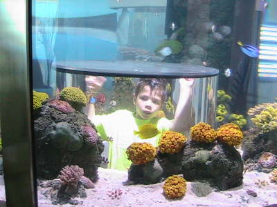 Boy inside fishtank